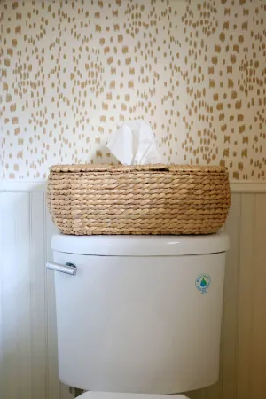 3 Part Tissue Basket