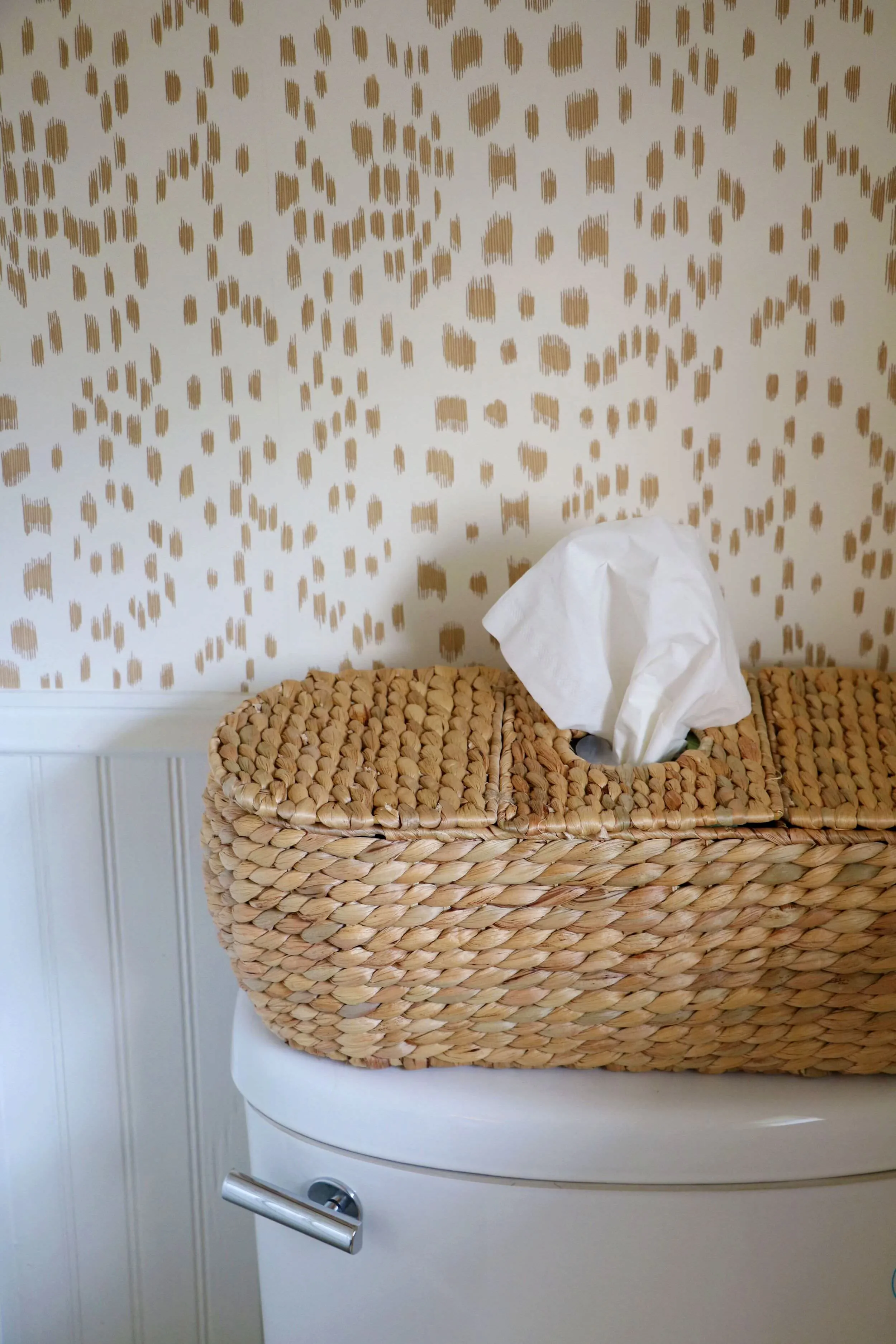 3 Part Tissue Basket