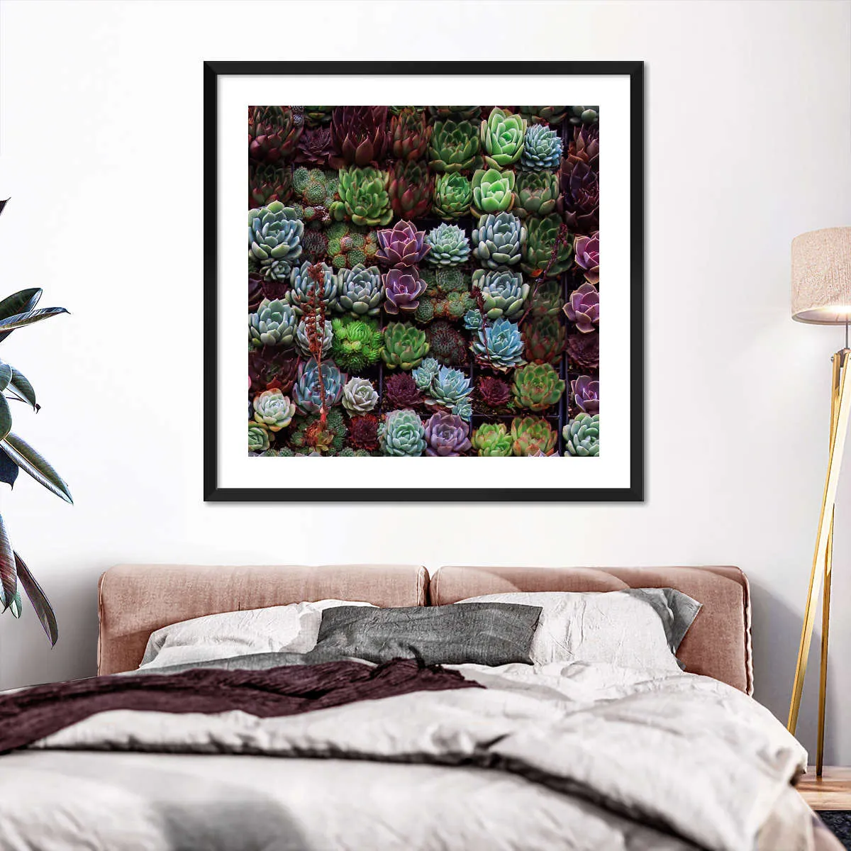 A Gathering Of Succulents Wall Art