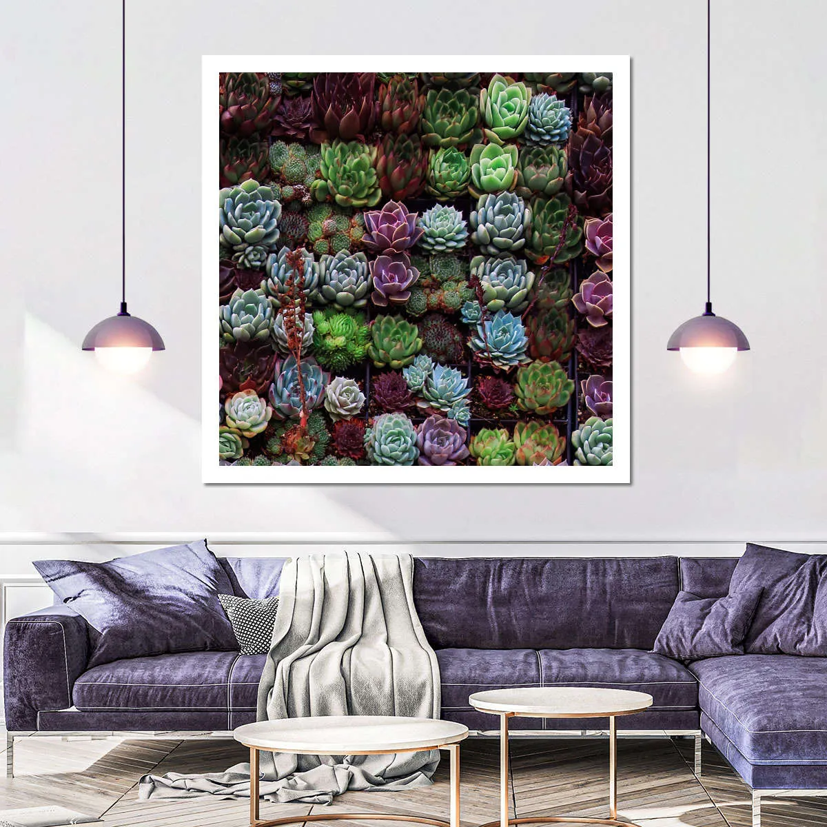 A Gathering Of Succulents Wall Art