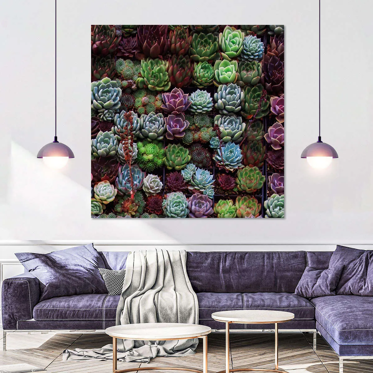 A Gathering Of Succulents Wall Art