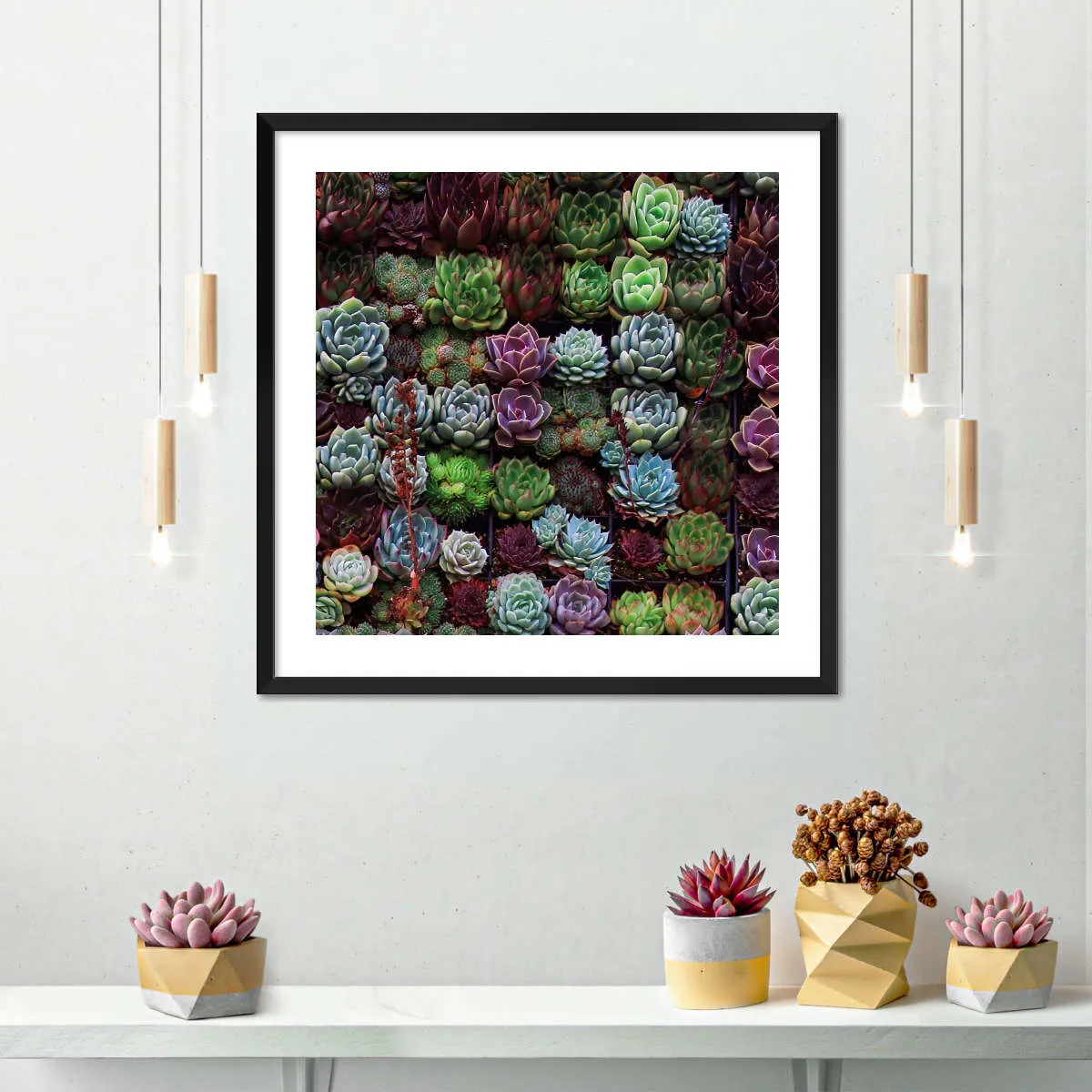 A Gathering Of Succulents Wall Art