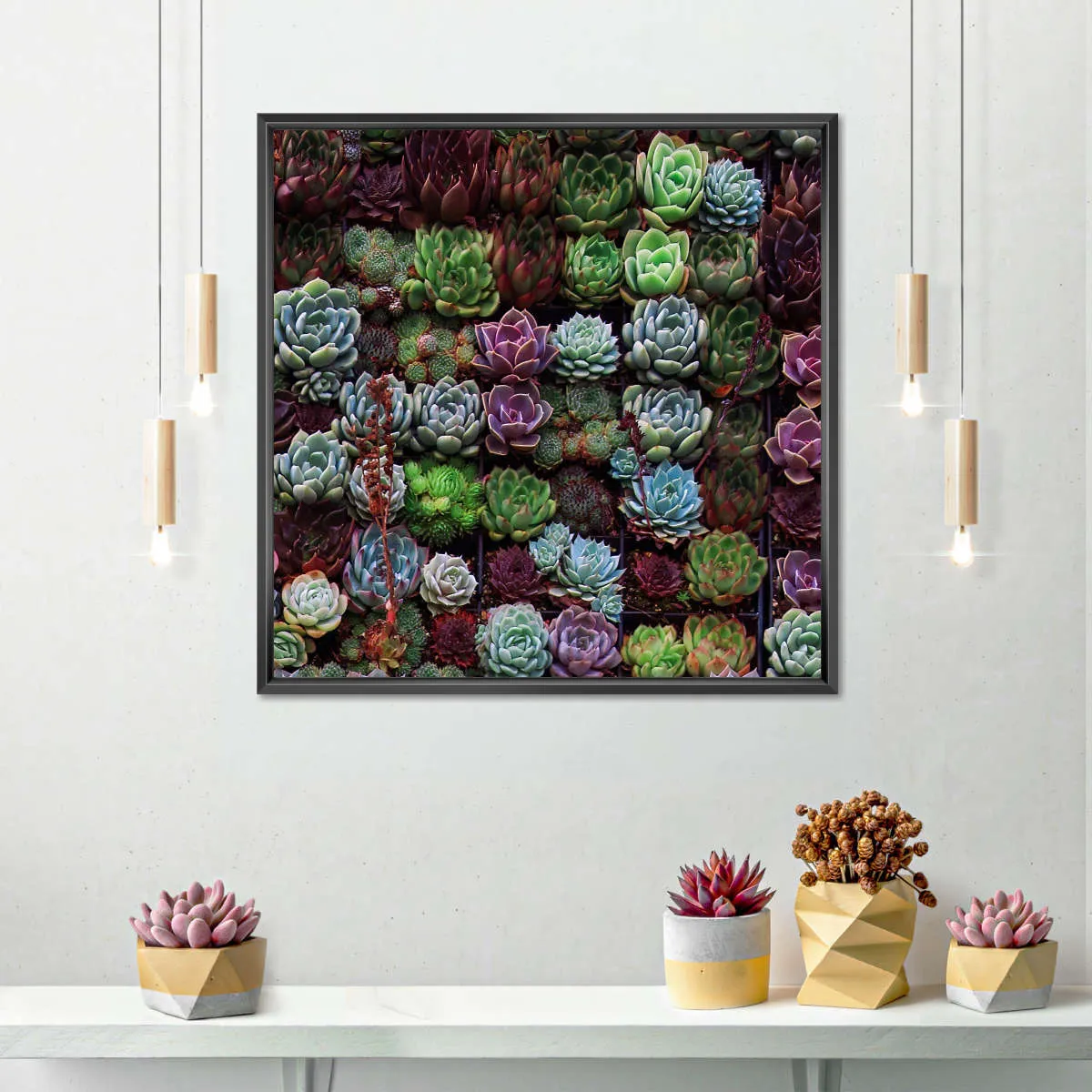 A Gathering Of Succulents Wall Art