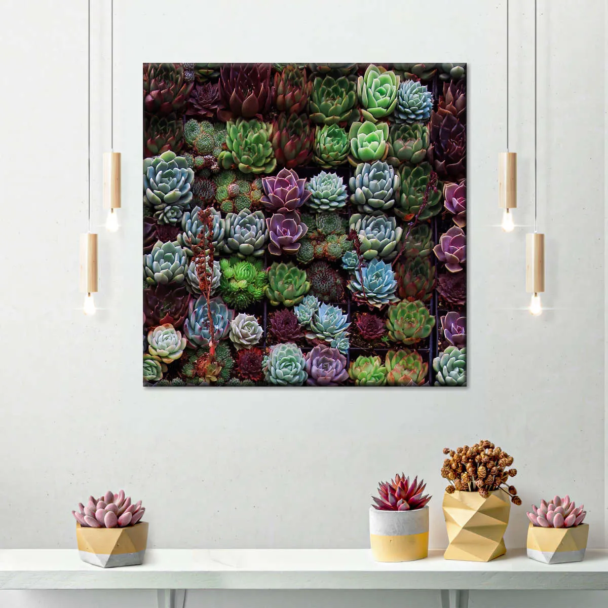 A Gathering Of Succulents Wall Art