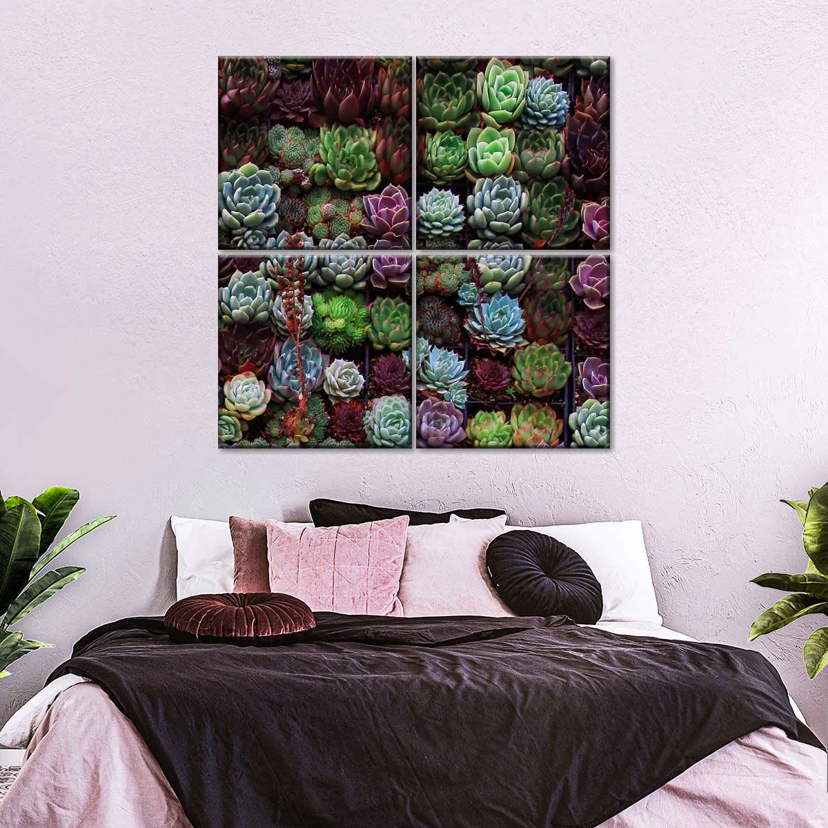 A Gathering Of Succulents Wall Art