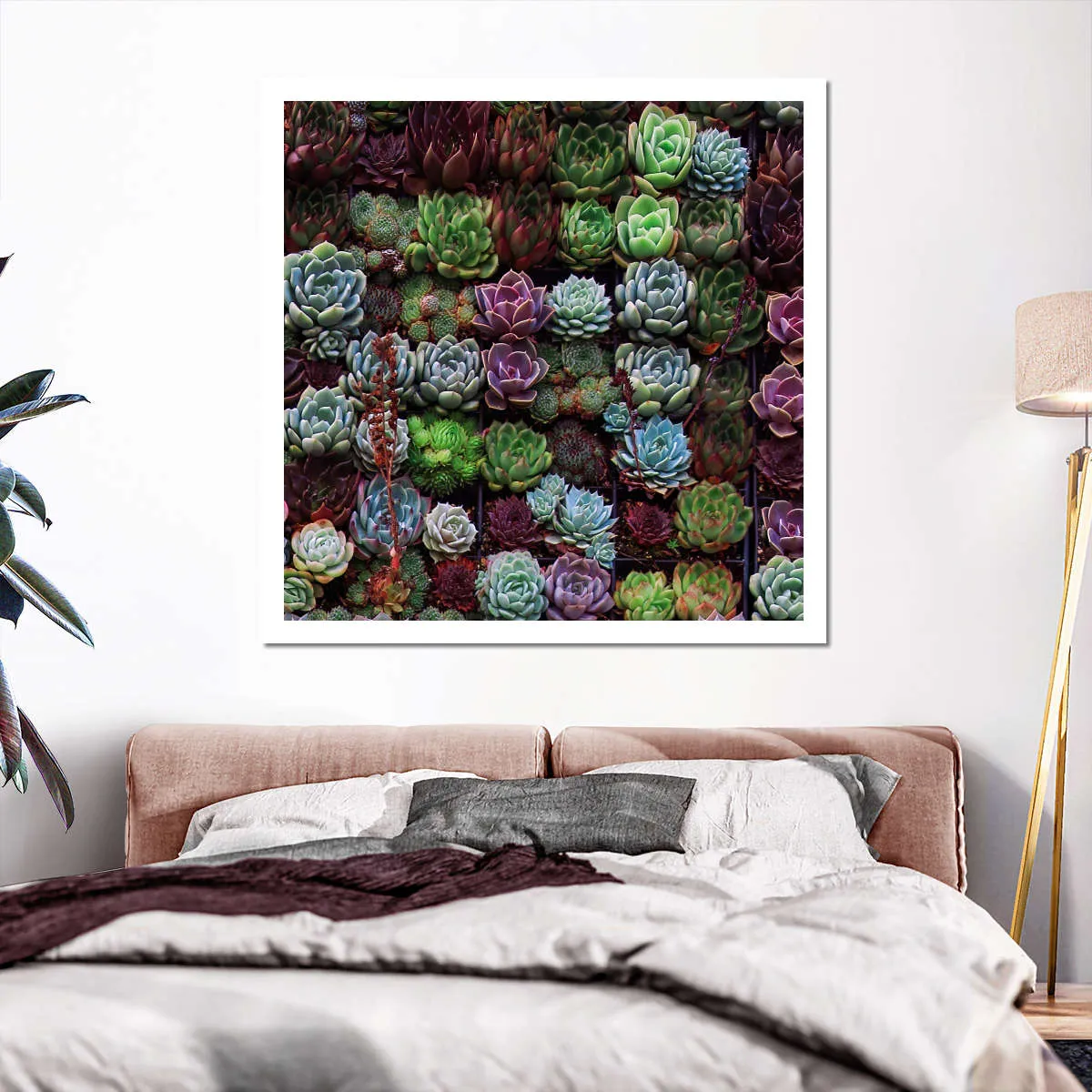 A Gathering Of Succulents Wall Art