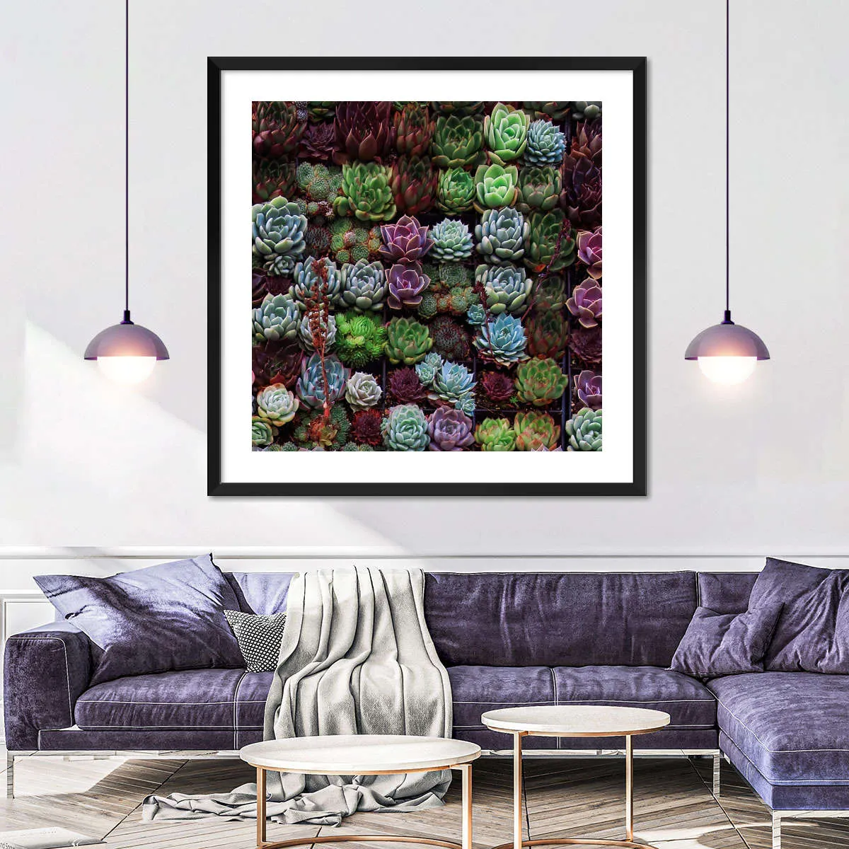 A Gathering Of Succulents Wall Art