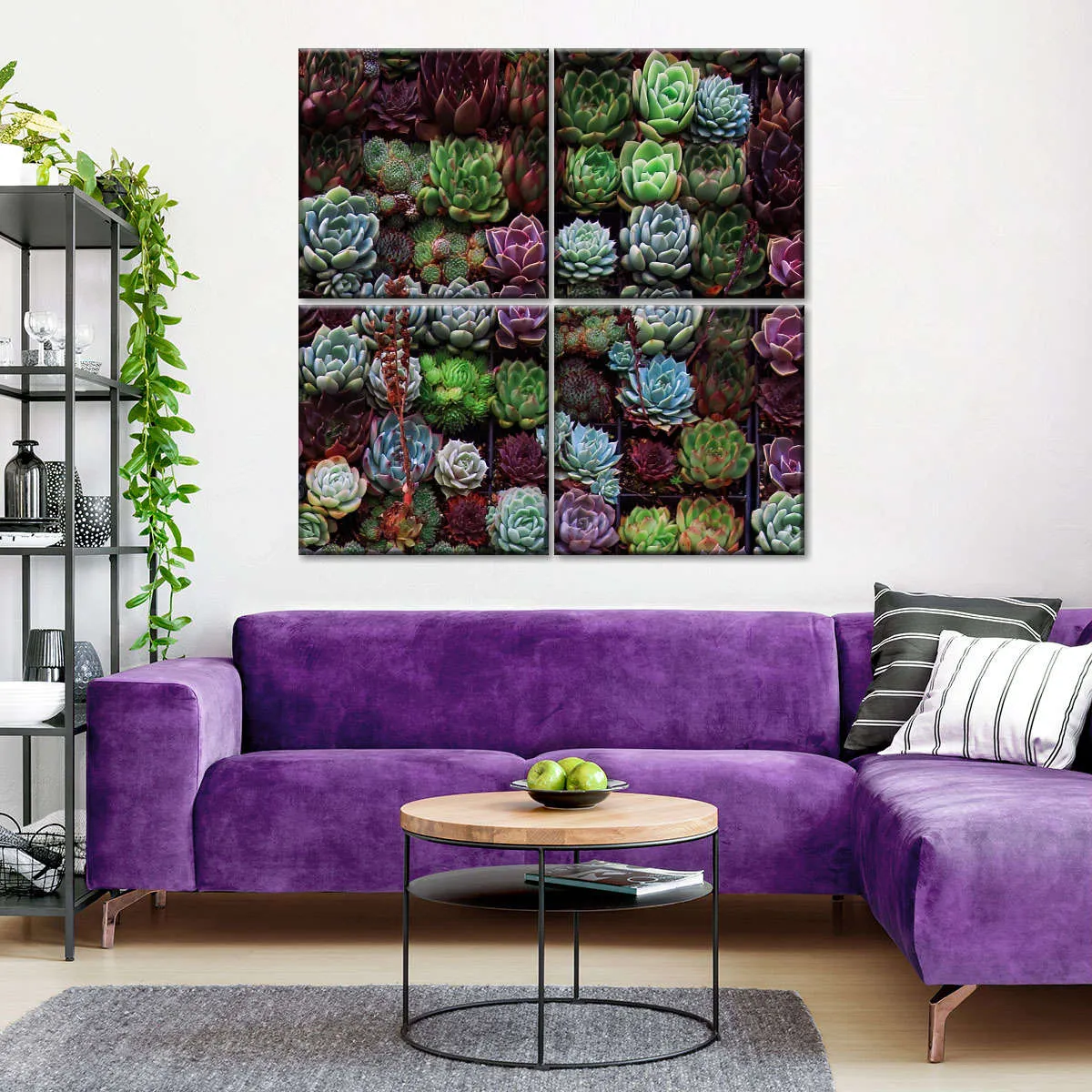 A Gathering Of Succulents Wall Art