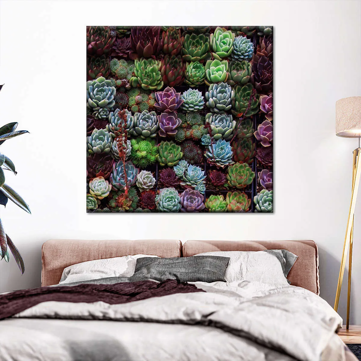 A Gathering Of Succulents Wall Art