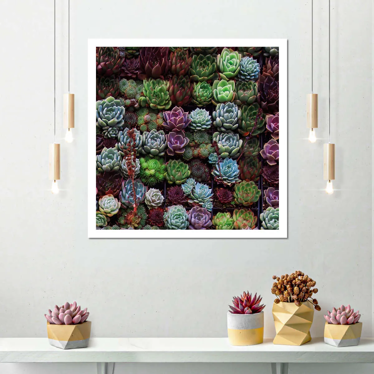 A Gathering Of Succulents Wall Art