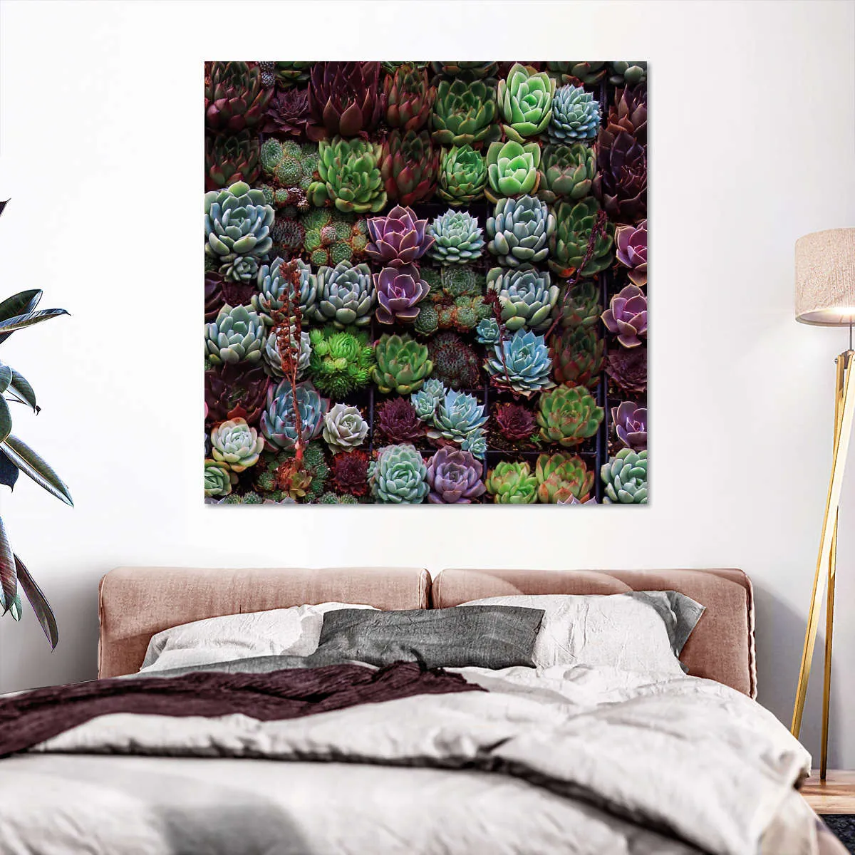 A Gathering Of Succulents Wall Art