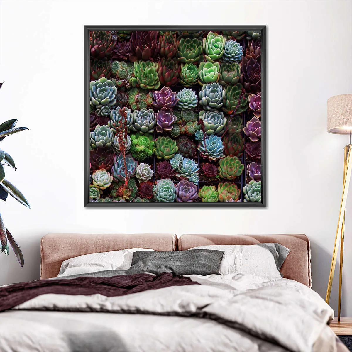 A Gathering Of Succulents Wall Art