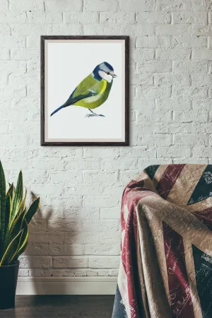 Blue Tit Fine Art Prints