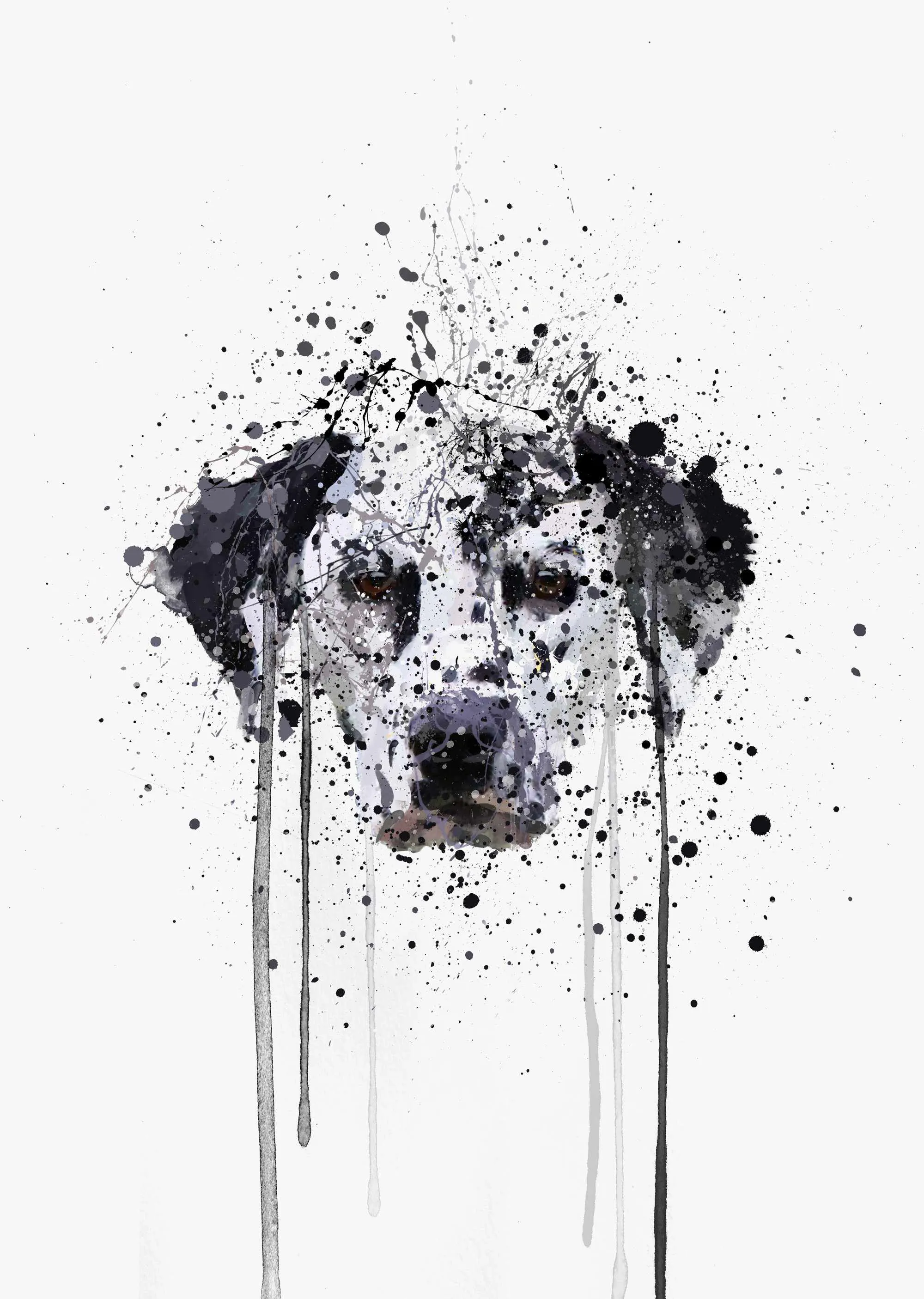 Dalmatian Wall Art Print