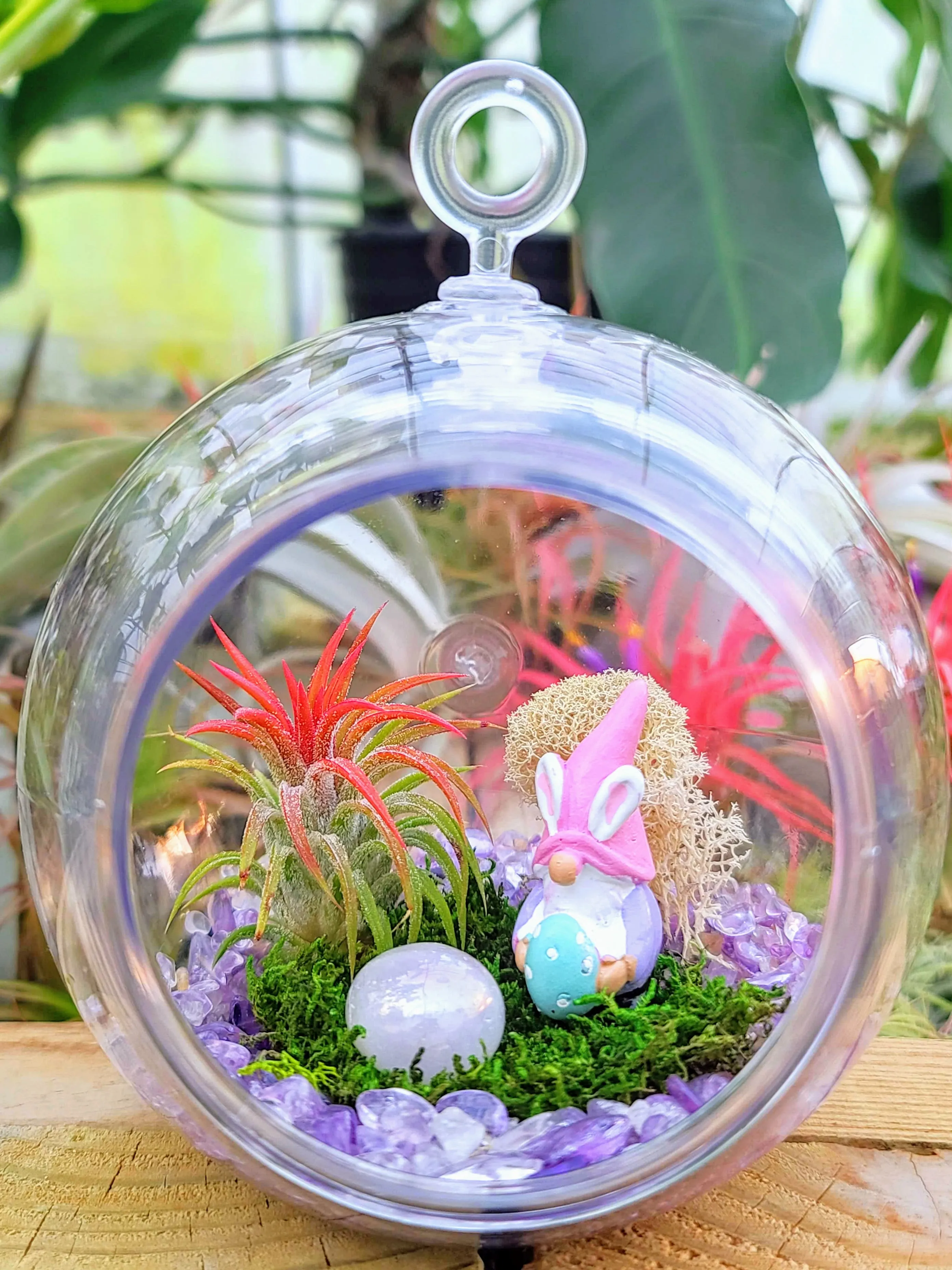 Easter Air Plant Terrarium w/ Amethyst Gravel and Gnome