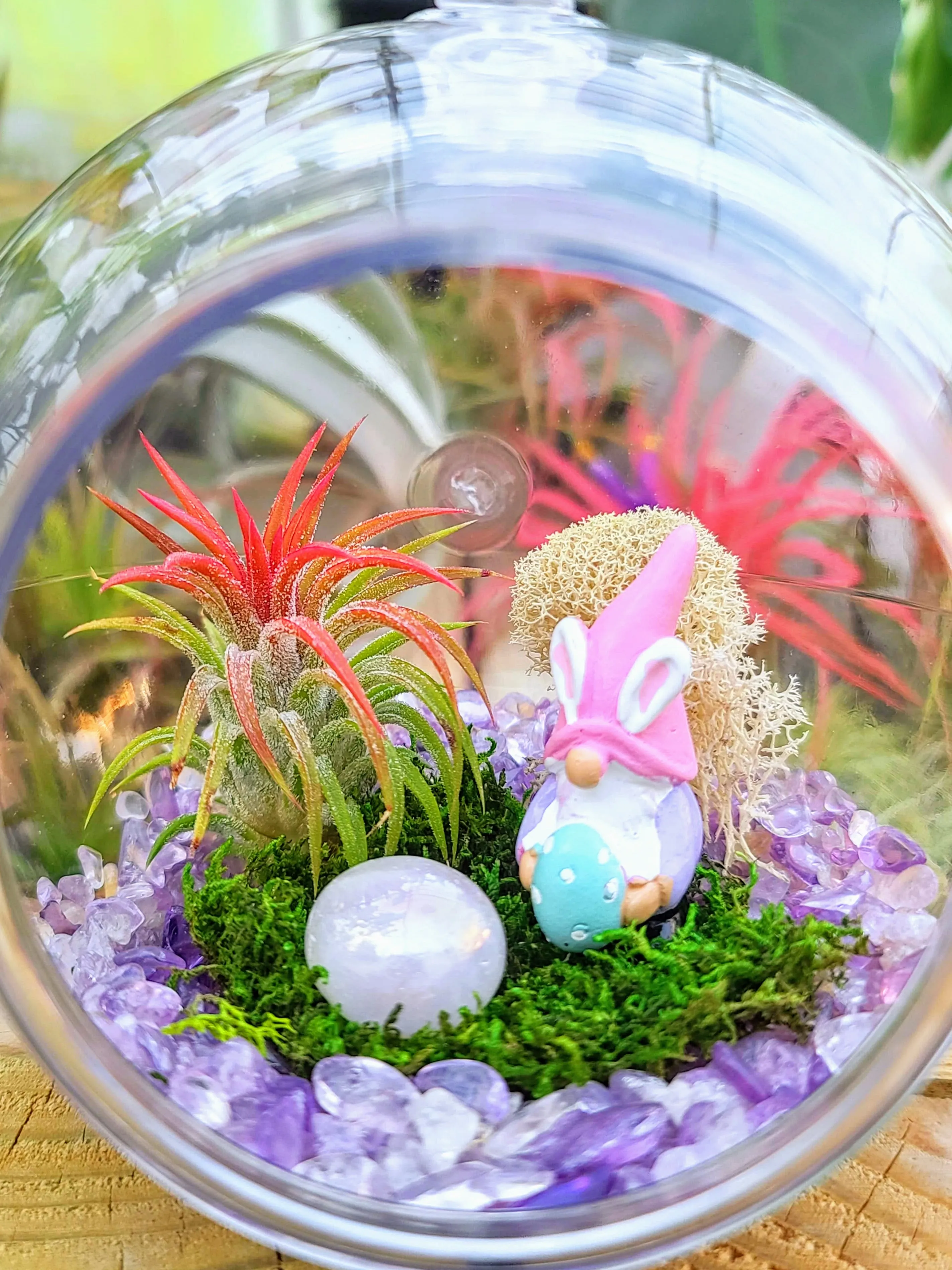 Easter Air Plant Terrarium w/ Amethyst Gravel and Gnome