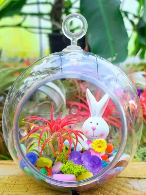 Easter Air Plant Terrarium w/ Crystal Gravel and Bunny