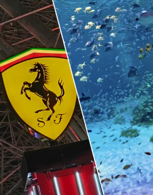 Ferrari World   National Aquarium Abu Dhabi - Combo tickets