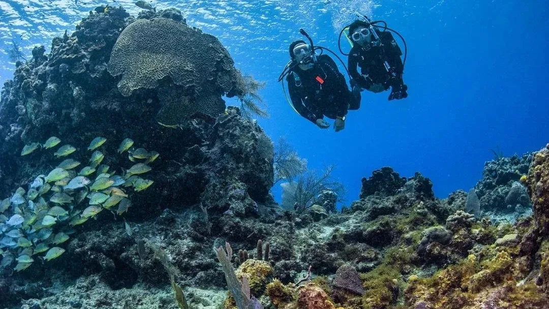 PADI Discover Scuba Diving Experience