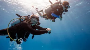 PADI Discover Scuba Diving Experience