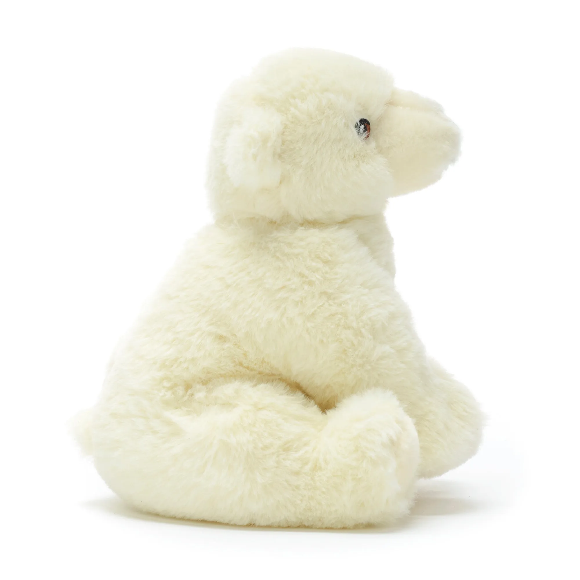 Polar Bear Soft Toy