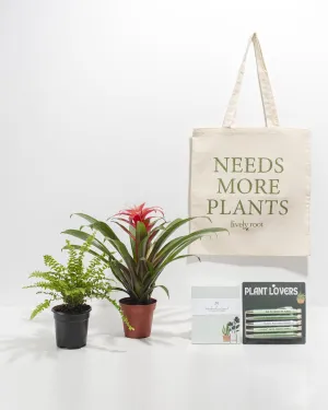 Study Buddy Care Package: Pet Friendly Plants